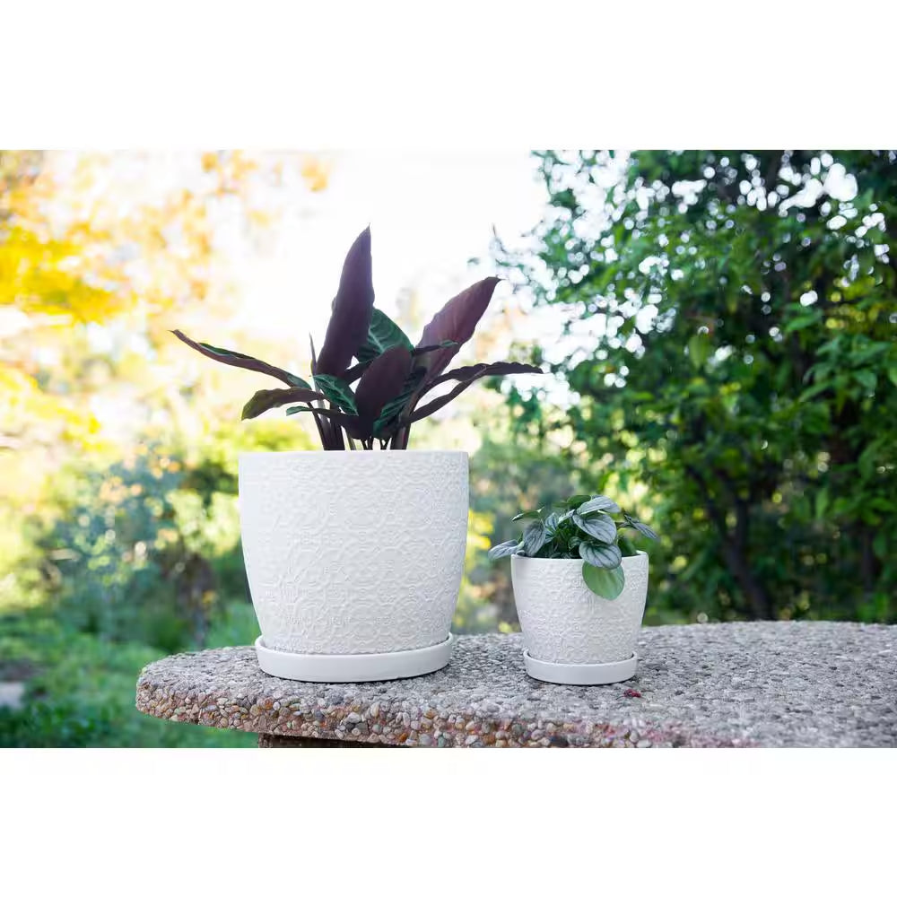 5.5 In. Chrysanthemum Small White Textured Ceramic Pot (5.5 In. D X 4.8 In. H) with Attached Saucer