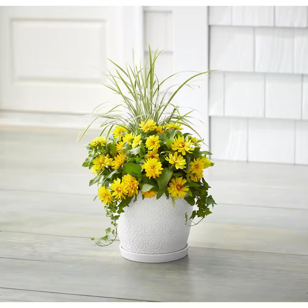 5.5 In. Chrysanthemum Small White Textured Ceramic Pot (5.5 In. D X 4.8 In. H) with Attached Saucer