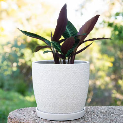 5.5 In. Chrysanthemum Small White Textured Ceramic Pot (5.5 In. D X 4.8 In. H) with Attached Saucer